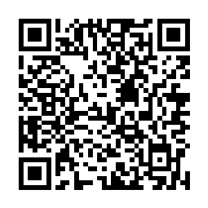 恐怕刚才说话的那个小贵族就会被其他的贵族抓住把柄二维码生成