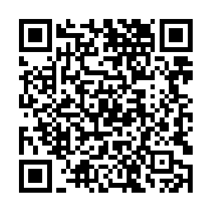 恐怕和王权等上届五国争霸赛就获得龙脉气运人相比二维码生成