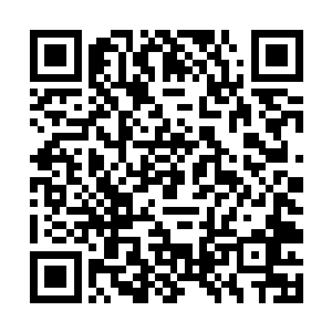 恐怕唯一的下场就是被这里所有的邪恶强者轰杀至渣二维码生成