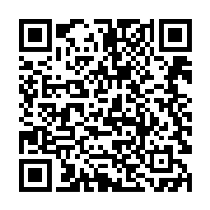 恐怕如今的地下世界各大势力是历史上最团结的时候二维码生成