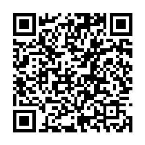 恐怕就不一定能健康成长为后世里那些庞然大物了二维码生成