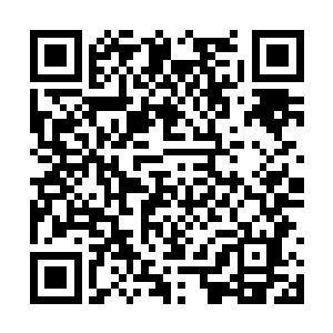 恐怕就连有着闭月羞花之貌的刘雪玉也要逊色几分二维码生成