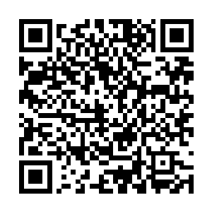 恐怕当初仙主存放在这里的仙丹已经都化成了丹妖二维码生成