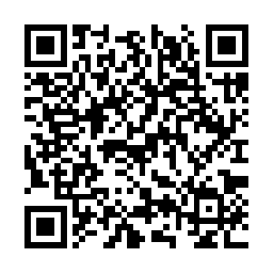 恐怕成长速度最快的莫过于季家这位妖孽少主了吧二维码生成
