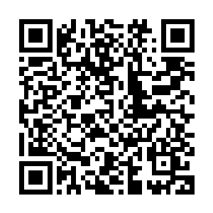 恐怕早就已经被那股爆炸的冲击波给震得全身上下所有骨骼尽断二维码生成