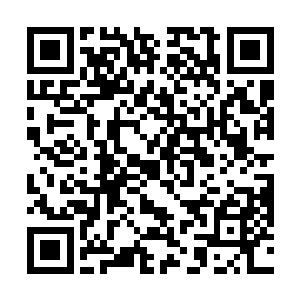 恐怕是这个时代的仙人第一次如此近距离的看到麒麟吧二维码生成
