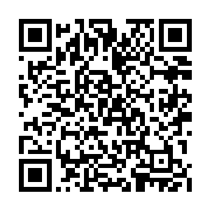 恐怕有些……毕竟虽然说天机楼无法帮老朽报仇二维码生成