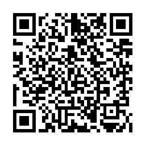 恐怕有些人因为吃了病死肉而导致身体更加虚弱二维码生成