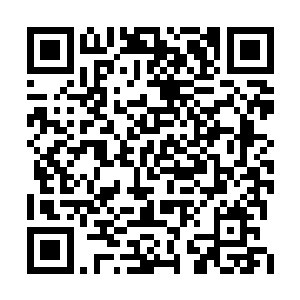 恐怕没有哪个单位会对自己要出去的干部说坏话二维码生成