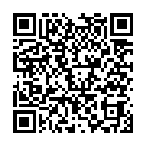 恐怕真的得需要绝强的木属性资质才能感应得到了二维码生成