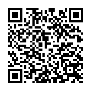 恐怕自己差点就要错过一次修补原主记忆的机会了二维码生成