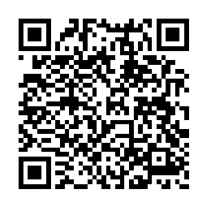 恐怕许紫烟就是不会对许家做出什么杀人的事情二维码生成