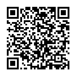 恐怕还做不出这种事情吧……那戚大郎两口儿风评如何二维码生成