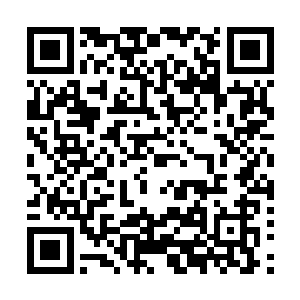 恐怕这十万大山的生灵都会枯萎……身上背负的就太沉重了二维码生成