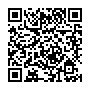 恐怕这整本书的收入还不够她出行一年的车子汽油钱的二维码生成