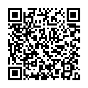 恐怕那个时候我们迎来的将是许紫烟的滔天怒火二维码生成