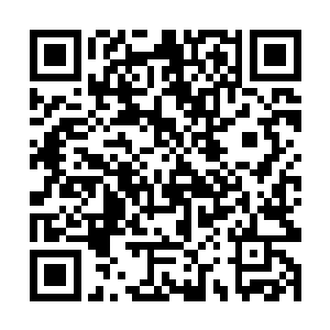 恐怕随行众人都不知道穿过偌大苍翠茂密的竹林之后二维码生成