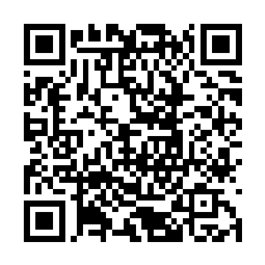恐怕面前的这位才是真的让人感觉有那么一些恐惧二维码生成
