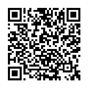 恐怖事件和犯罪事件频发……世界濒临崩溃边缘二维码生成