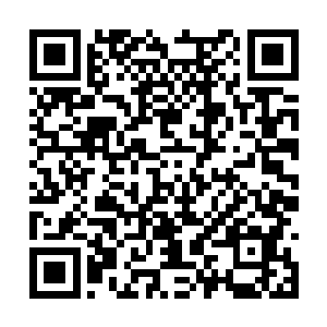 恐怖冷漠的无极尊主也会有这样充满人情味的一面二维码生成
