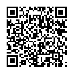 恐怖机器人也绝不会介意用他们又尖又利的行进足二维码生成