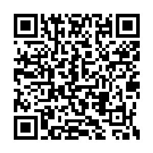 恐怖的爆炸一下子把山顶一片区域都笼罩了进去二维码生成