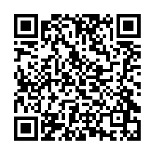 恐怖的能量光柱也瞬间直接跟黑色的巨手轰到了一起二维码生成