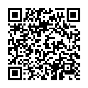 恐怖的赤红色的火龙也跟血色的巨蟒疯狂的碰撞起来二维码生成