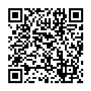 恐龙之类的巨大爬行类从未遇到过陨石侵袭以及气候异变二维码生成