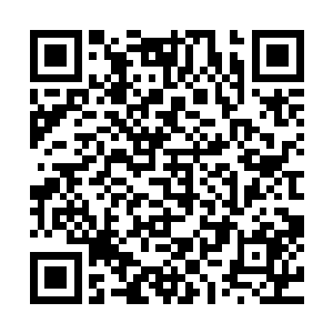 恢复的同时也奇怪到底是什么让这些无智的剑灵变得狡诈起来二维码生成