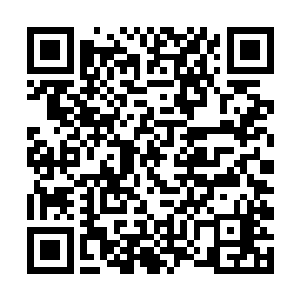 恨不得把张潇晗手心里托着的玉瓶看到她自己的手里二维码生成