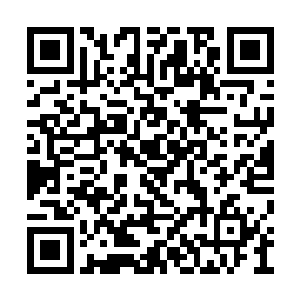 恨不能与杜引墨前辈一同好好的切磋上一回武艺二维码生成