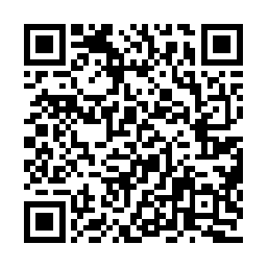 恨自己怎么不快快长大呢……哪怕在大个三四岁二维码生成