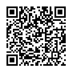 恨自己怎么没有提前想起来给她在院子里建一个私人泳池呢二维码生成