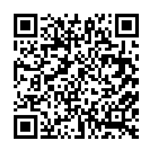 恩斯特只觉得内心所有的期待猛然就变得空荡荡起来二维码生成