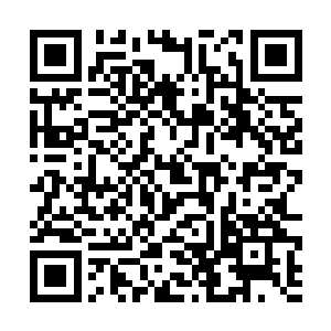 恩斯特想要从奥斯卡的身上找到自己编剧工作的意义二维码生成