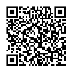 恩斯特甚至还可以在脑海里搜寻到雨果那青涩而落寞的身影二维码生成