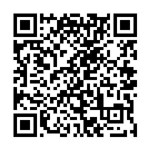 恰恰也是让那些在这个年代出生的孩子们变得悲哀而残酷二维码生成