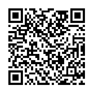 恰恰凑成了黑桃同花顺……虽然只是最小的同花顺二维码生成