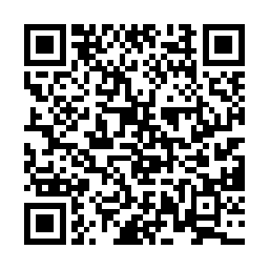 恰逢一个小姐的目光流转到靳如歌双手端着的盘子里二维码生成