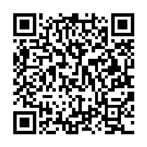 恰逢大劫后的重建而支援到地面上――这传说已久的天外天二维码生成