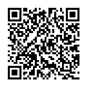 恰逢美国版我怎样才能嫁给有钱人在国内互联网上传开二维码生成