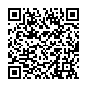 恳请罗仙家有时间关注一下我琉国的试炼悬赏榜二维码生成