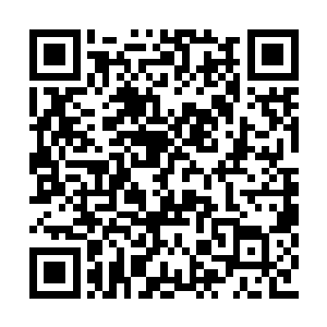 恶灵和血族狼人族原本都是生活在不同的时空中二维码生成