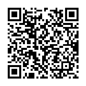 恶魔之手在希望之城内拥有独立的一块区域和土地二维码生成