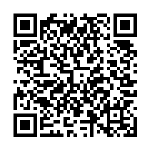 恶魔领主们都会饲养一些路魔最为消化垃圾的生物二维码生成