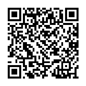 悍勇的将持枪青壮百姓从盾牌后给一把拉了出来二维码生成