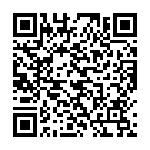 悠闲的盘成一个蛇饼等候太阳光自动的照射在它的身上二维码生成
