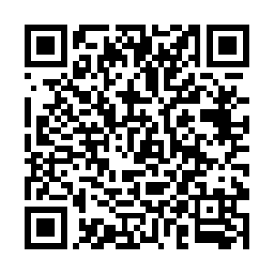 您万里远征如果只是为了宝藏老夫以为大大的不值得二维码生成