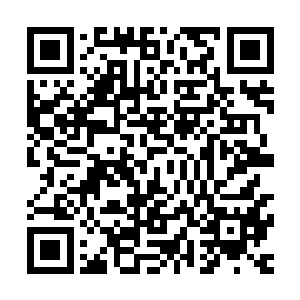 您不是一直让我看着姚阁老的动静吗……前大理寺少卿被抓后二维码生成